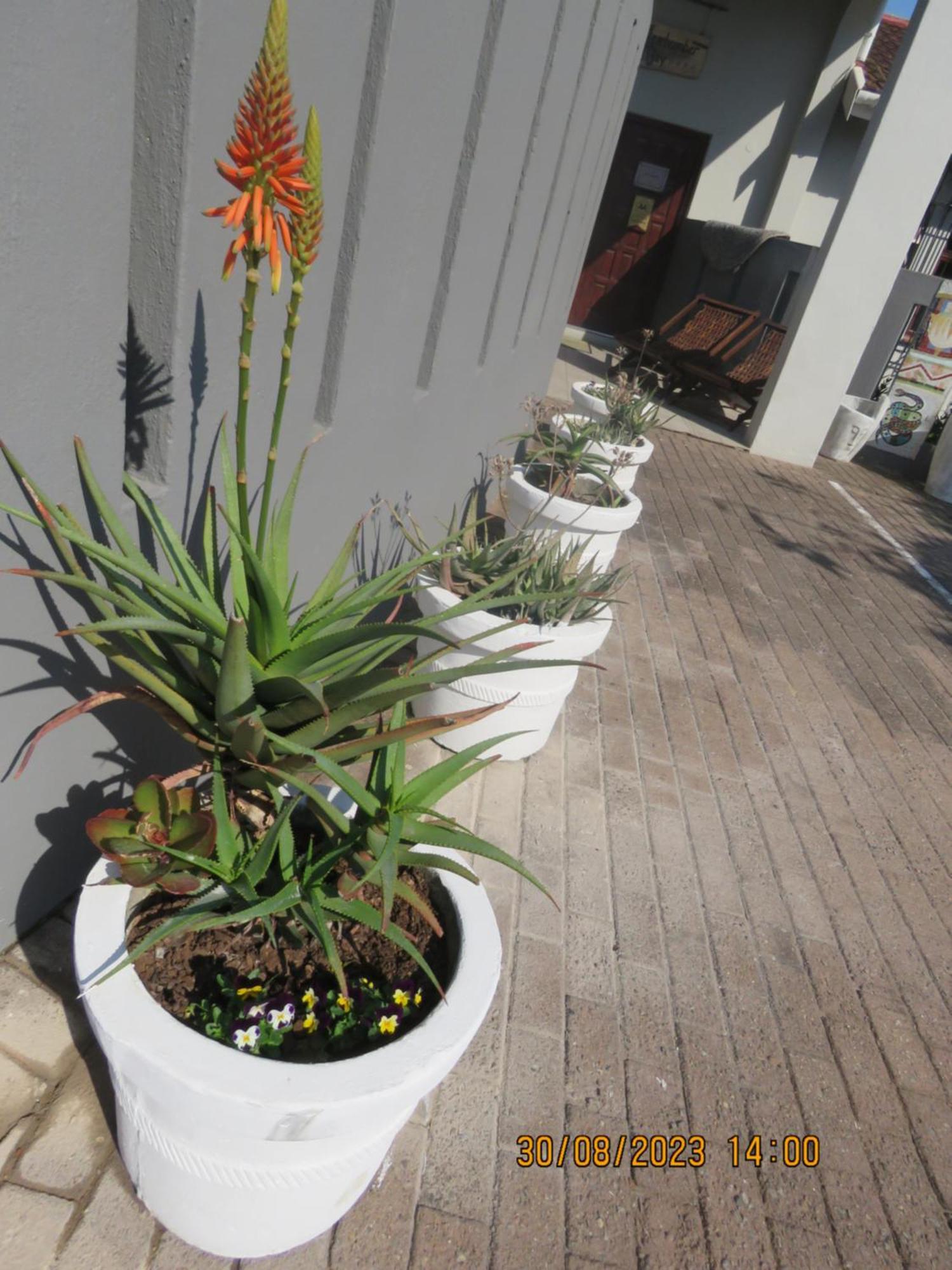 Beachcomber Bay Guest House In South Africa Margate Ngoại thất bức ảnh