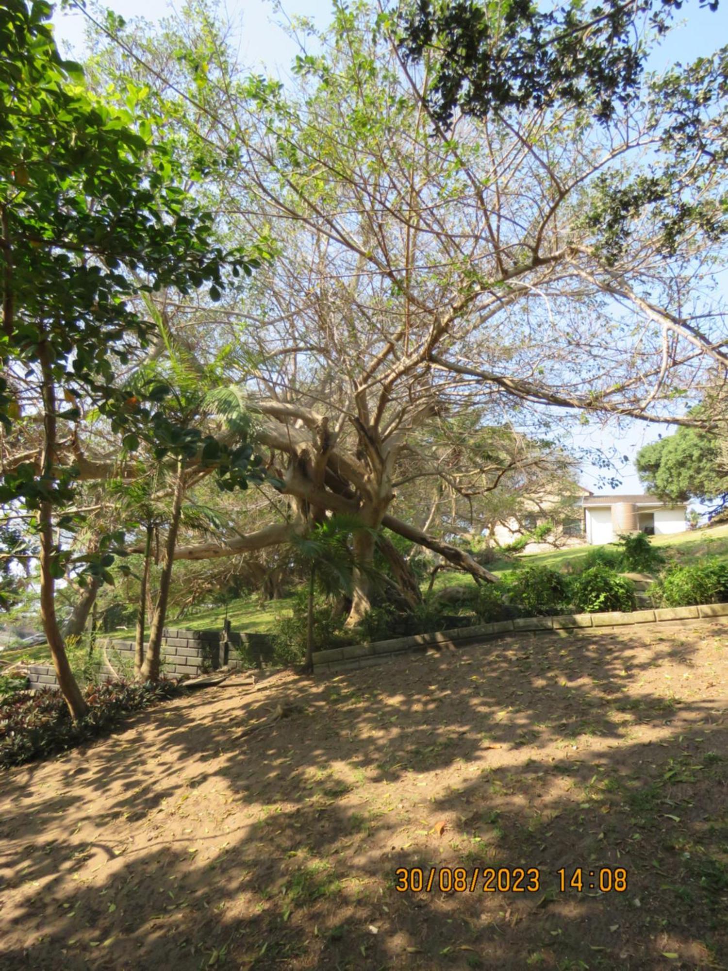 Beachcomber Bay Guest House In South Africa Margate Ngoại thất bức ảnh