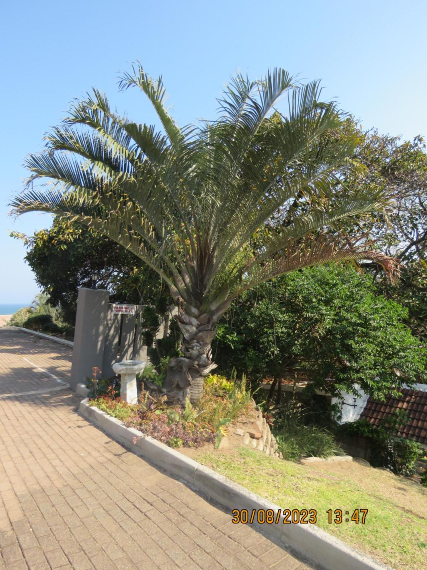 Beachcomber Bay Guest House In South Africa Margate Ngoại thất bức ảnh